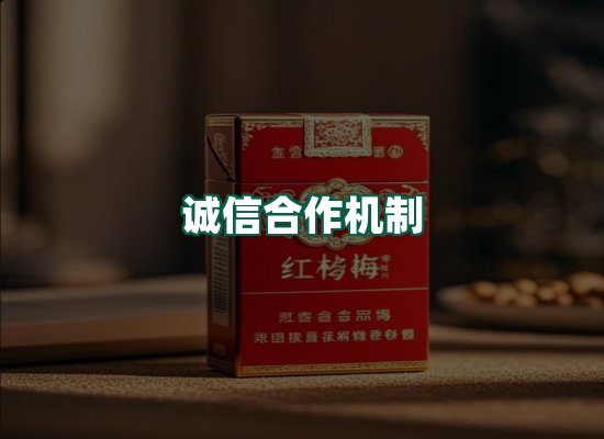 核心优势